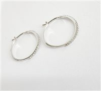 Orecchini IGold Donna in Oro bianco Zirconia OR49301652050 - OR49301652050